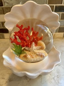 Lighted Coastal Seashell Clam Decor W/Glass Globe Coral Display-battery Operated