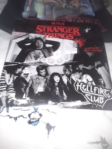 ZARA Stranger Things Pullover Hoodie Kid Size S 9/10 +Netflix Calender Full Cast - Picture 18 of 22