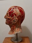 Foto 5 di 10