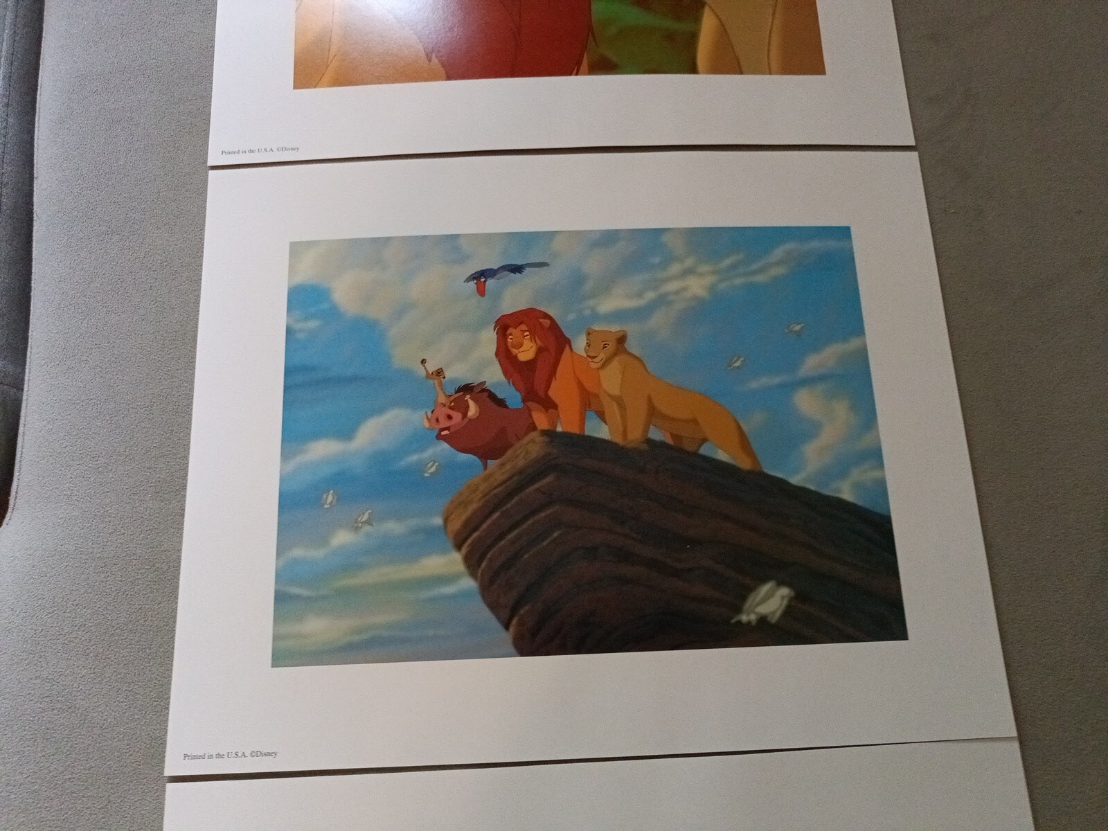 Picture 5 of 7