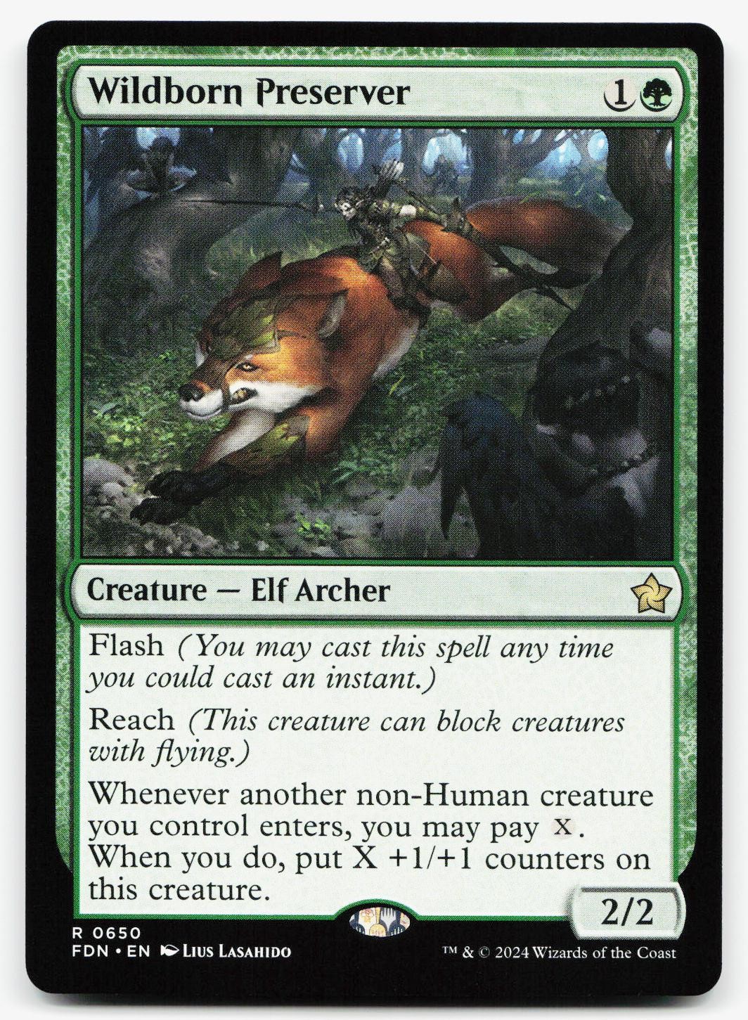 WILDBORN PRESERVER 650 R FOUNDATIONS NM MTG