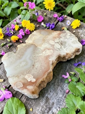 Blumenachat Druzy Platte - 106 mm - rosa & creme Blütenachat - poliertes Display