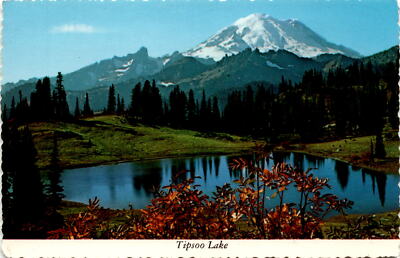 Tipsoo Lake Mt. Rainier Cascade Mountain Range Mt. Rainier Nati Postcard
