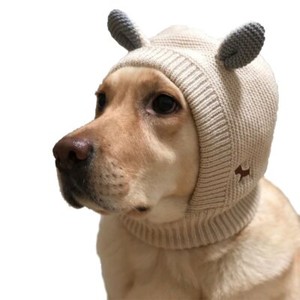 dog ear beanie