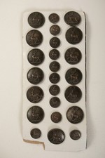 Lot Metal Buttons Doughty & Co London (P3L-1/JSF6) Hertfordshire Militia Livery