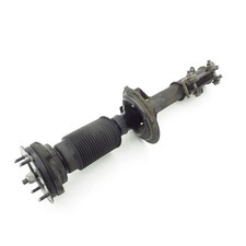 shock absorber front Ford Mustang 4.0 12.05-12.10 7R33-18045-CB