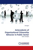 Ali Asgari | Antecedents Of Organizational Citizenship Behavior In Public Sector