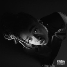 Little Simz Grey Area (Vinyl) 12" Album