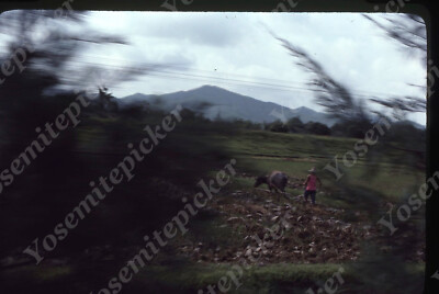 sl06 Original Slide  1970's China outside Canton farm worker 657a