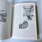 Picture 8 of 15