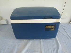 Vintage Nylex Esky Camping Outdoor Cooler 50 L Blue And White Ebay