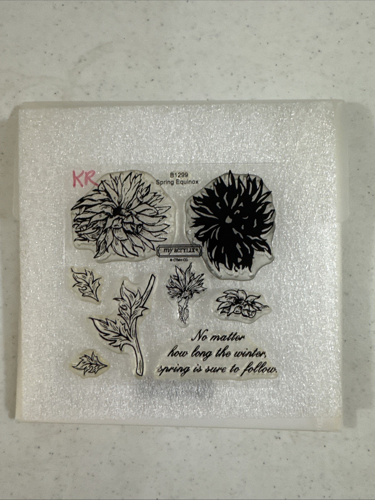 Close To My Heart Spring Equinox Stamp Set