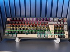 Mechanisch Gaming Tastatur RK Royal Kludge M100   96% Layout + Curly Kabel