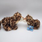 Bild 8 von 11