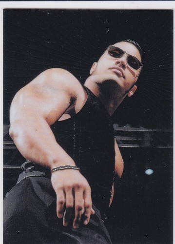 DWAYNE "THE ROCK" JOHNSON CARD WWE Smackdown Wrestling Card 1999 RARE INSERT LE!