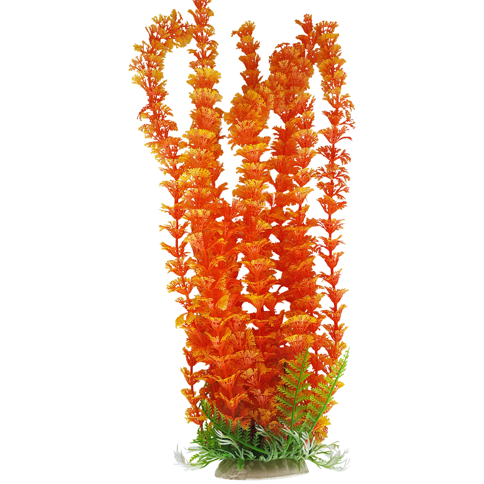 Oceanië bod Ambitieus Orange Thin Leaf Aquarium Plant with Base 12-13 Inch Tall (32-35cm), Fish  Safe | eBay