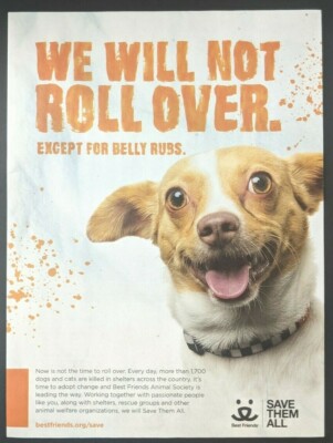 Best Friends Animal Society Save Them All Print Ad Poster Art PROMO  Original Dog