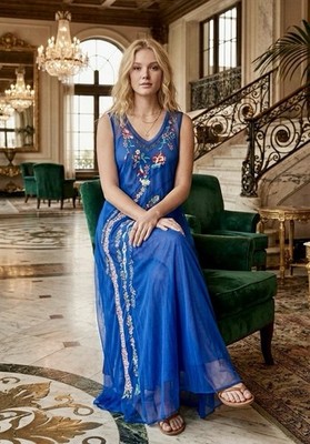 NEW Johnny Was XXL Plus Blue Embroidered Mesh Maxi Dress & Slip Sleeveless  NWT | eBay