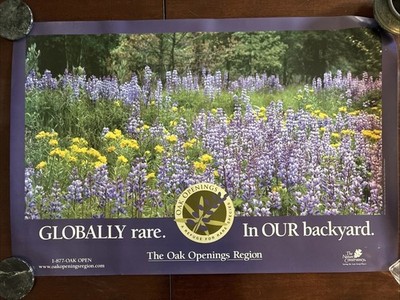 Oak Openings Region Poster 36x24 Globally Rare Wild Lupine Nature Conservancy