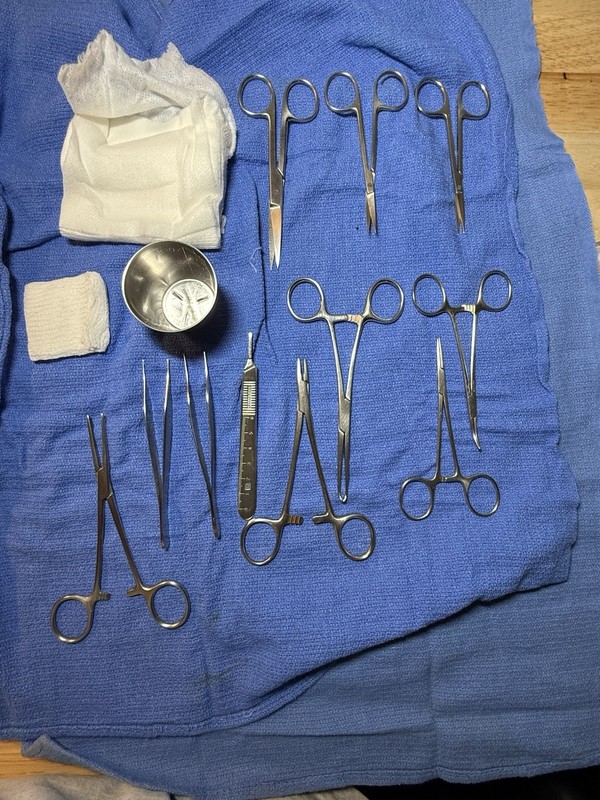 Minor Surgery Instrument Set