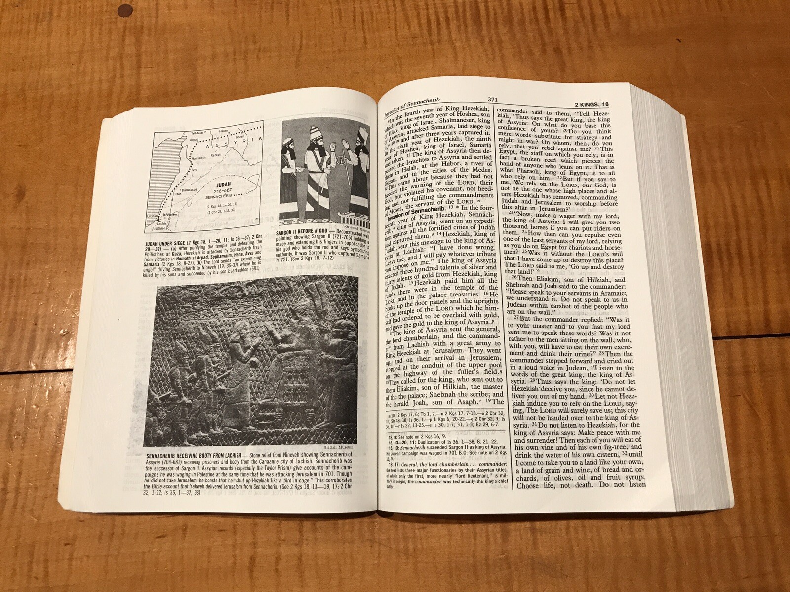 The New American Bible ST. JOSEPH Large Print Edition 1992 Illustrated ...