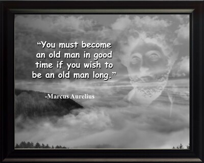 Marcus Aurelius You must become Poster Print Picture or Framed Wall Art