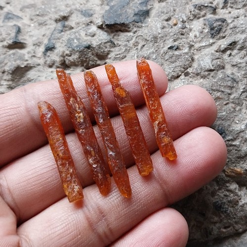 47 Ct 33 to 43 MM Natural Orange Color Kyanite Raw Rough Pencil Shape 5 PCS Lot - 第 1/24 張圖片
