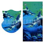 Bild 183 von 223