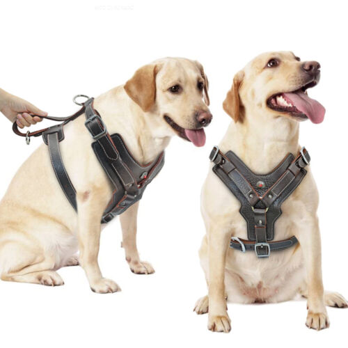 Real Leather Large Dog Harness Heavy Duty Pet Vest & Handle for Boxer Doberman - Picture 11 of 13