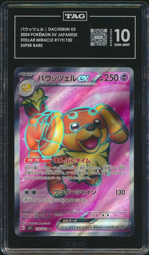 Dachsbun EX 119/102 Super Rare Japanese Stellar Miracle Pokemon TAG 10 Gem Mint