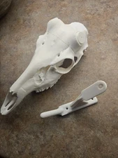 Deer European Mount Kit 3d Printed White Includes Pop Style And white Wall mount