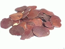 Eva Impex Palash Seeds – Butea Monosperma (Papda)