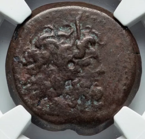 Ptolemy III Euergetes 246-222 BC, Ptolemaic Kingdom Egypt AE 22 Coin, NGC Ch F
