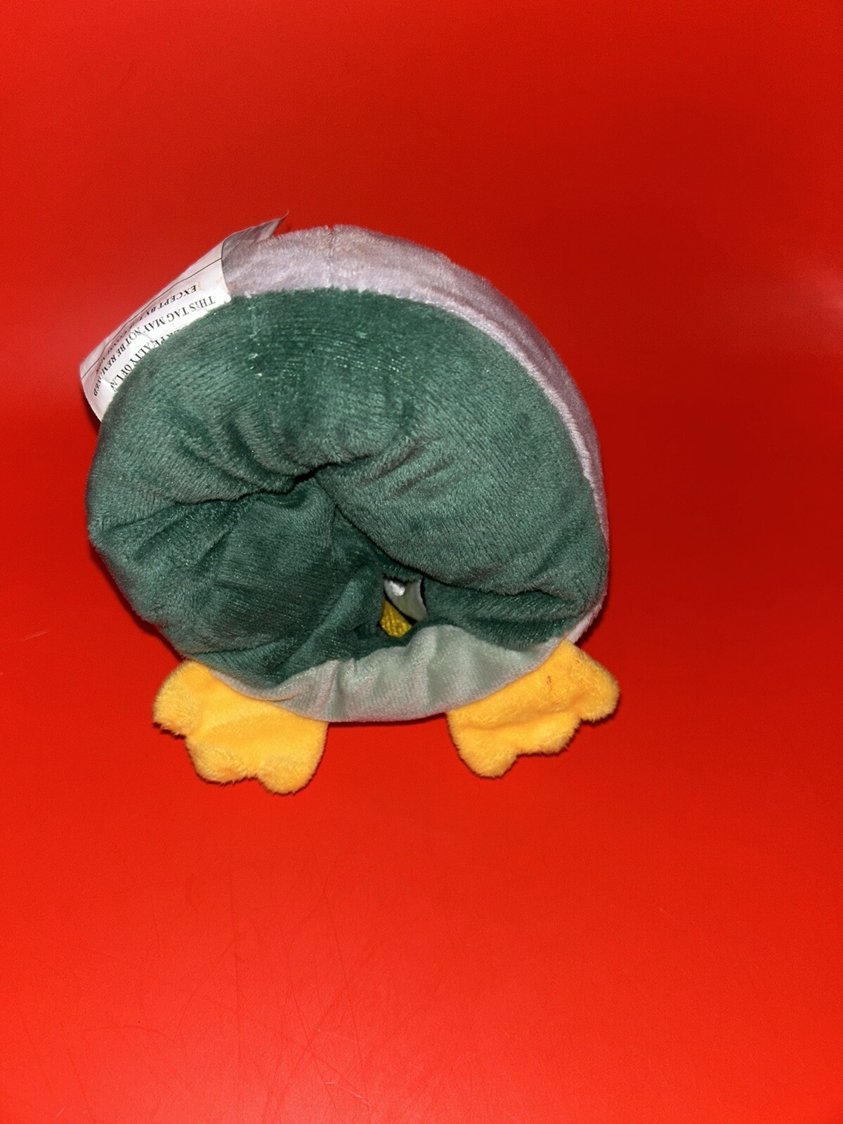 Picture 4 of 6