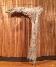 Beautiful 8" DRIFTWOOD Piece Art Terrarium Taxidermy Aquarium Beach Wood DECOR