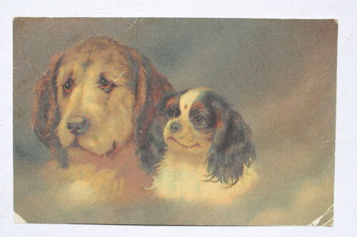 12931 Artist Ak Wenau Pastel Dogs Jack Russel 1917 - Zdjęcie 1 z 1