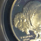 (GEM!!)SILVER (PROOF 69-S/B 70-AMER BUFF- DCAM)(LUSTER!!!)2001P $ BEAUTY!(ANACS) — photo 4