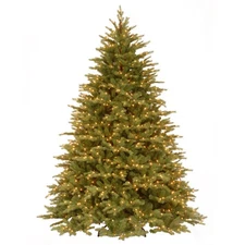 7.5 ft. Pre-Lit Northern Fraser Tree with Clear Lights, Plug-In