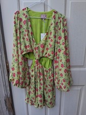 Show Me Your Mumu Floral Dress