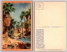 Vintage Palm Canyon Palm Springs CA Linen Postcard Longshaw Co. California Palms