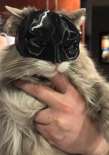 BAT CAT Avengers Batman Cat Mask Pet Cosplay Costume, Tik Tok - Picture 10 of 24