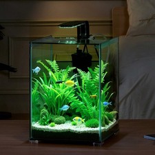 5 Gallon Glass Fish Tank Aquarium with 3 Color Light for Home Office