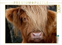 Calvendo Puzzle Schottisches Hochland Rind, Highland Cattle 1000 Teile Puzzle Qu