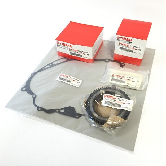 YAMAHA DRAGSTAR 1100 (XVS1100, V-Star1100) Custom Parts - Webike - Foto 6