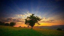 Landscape nature trees sky clouds field sunlight grass Custom Gaming Mat Desk