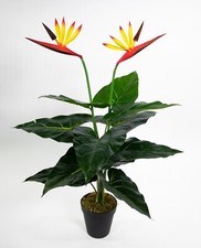 Strelitzie Real Touch 60cm im Topf ZJ künstliche Blume Kunstblumen Paradiesvogel