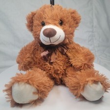 Plush Teddy Bear 13"