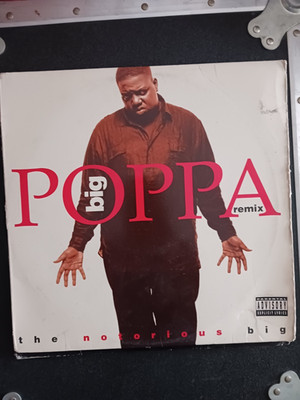 NOTORIOUS BIG VINYL PUN LL COOL J COLE WU TANG 2 PAC DR DRE EMINEM BONE THUGS TI