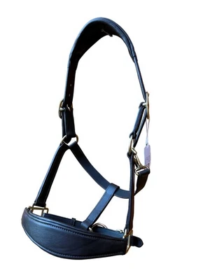 ACES EQUINE Schwarz Leder Pferdehalfter Kopfhalsband Messingbeschläge anatomisch gepolstert Nasenriemen