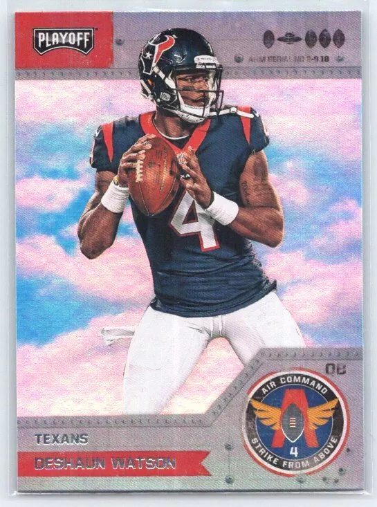 Deshaun watson 2025 playoff jersey